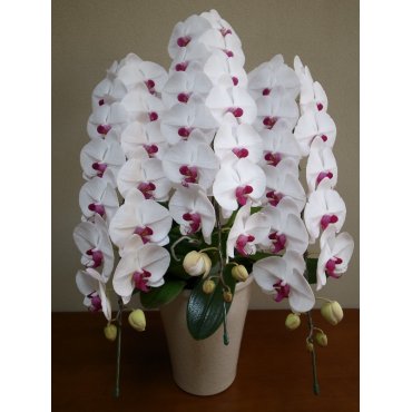 9000041【一般カテゴリー】900004