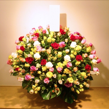 9001471【一般カテゴリー】900147