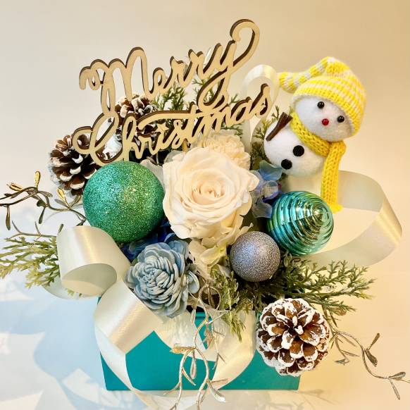 クリスマスBOX【P-249】一般カテゴリー