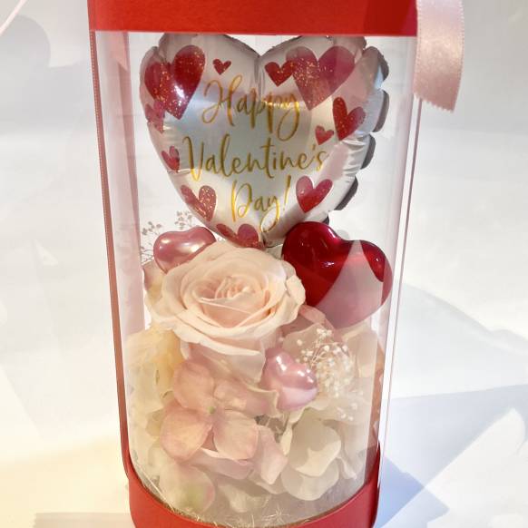 一般カテゴリー,バレンタインシリンダー レッド【P-260】,銀座ニューフラワー