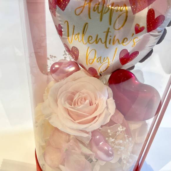 一般カテゴリー,バレンタインシリンダー レッド【P-260】,銀座ニューフラワー