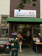 ニュー花矢