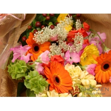 一般カテゴリー,【花束003】ストック・ガーベラの色合わせ花束,正花園