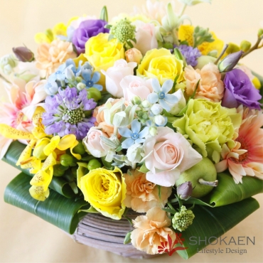 一般カテゴリー,【アレンジ666】ミスティカ,正花園