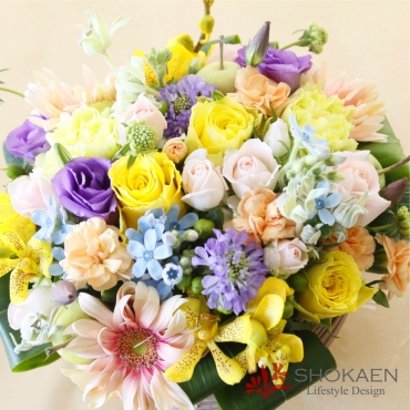 一般カテゴリー,【アレンジ666】ミスティカ,正花園