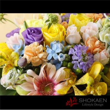 一般カテゴリー,【アレンジ666】ミスティカ,正花園