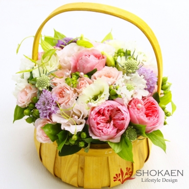 一般カテゴリー,【アレンジ671】ル・メルシェ,正花園