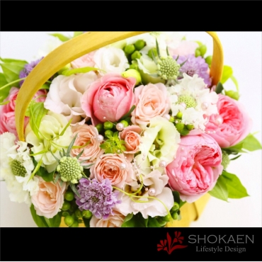 一般カテゴリー,【アレンジ671】ル・メルシェ,正花園