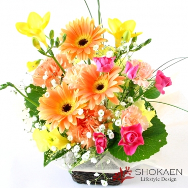 ＊*..春の日差しが眩しいおひさま色のガーベラアレンジ..＊°..お花の贈り物 お取り寄せ オリジナルフラワー 【アレンジ231】プリマベーラ（LOR/P