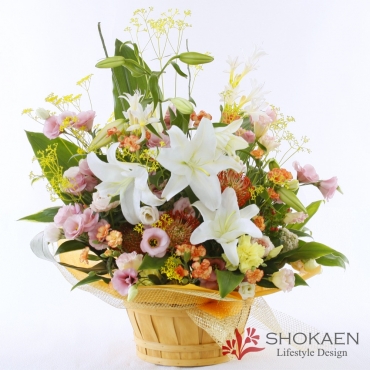 一般カテゴリー,【アレンジ648】オルフィーク(POR),正花園