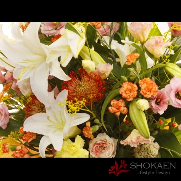 一般カテゴリー,【アレンジ648】オルフィーク(POR),正花園