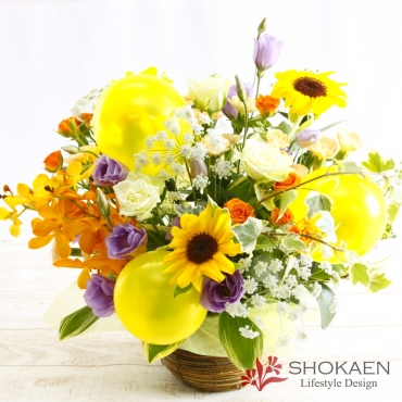 【Bアレンジ878】カメリエーラ（Y)一般カテゴリー