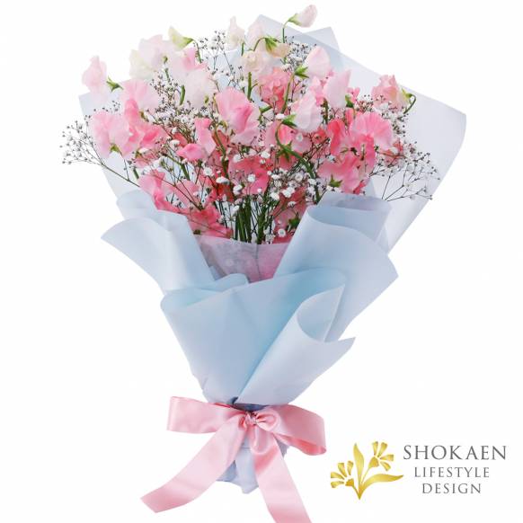 【花束0111】ルシエル（P）一般カテゴリー