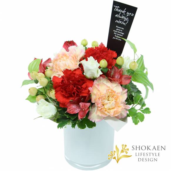 【母の日アレンジ】グラティチュード（C）ルビー一般カテゴリー