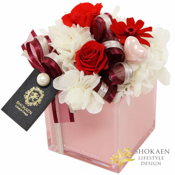 【母の日プリザ】タンドレス（B）レッド一般カテゴリー