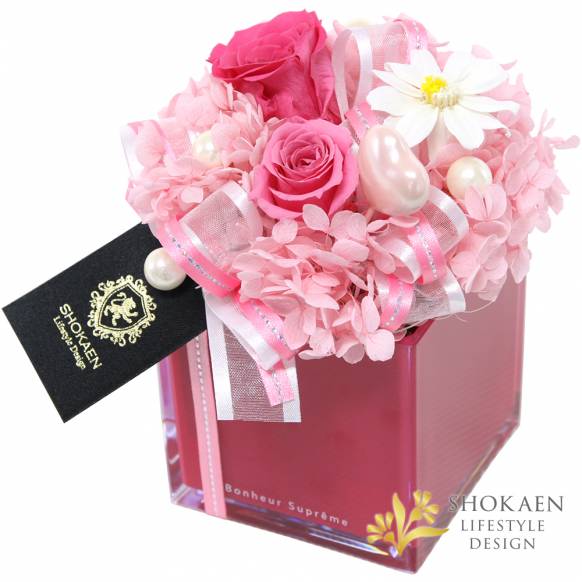 【母の日プリザ】タンドレス（D）ピンク一般カテゴリー