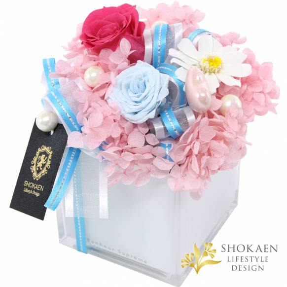 【母の日プリザ】タンドレス（E）カラフル一般カテゴリー