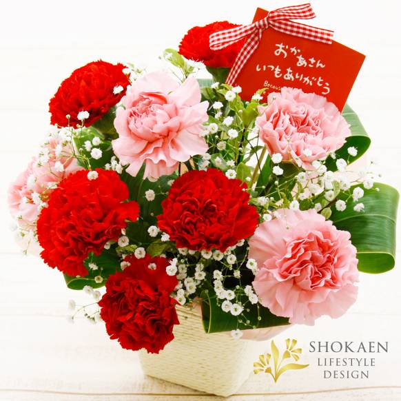 【母の日】カーネーションとかすみ草のアレンジ一般カテゴリー