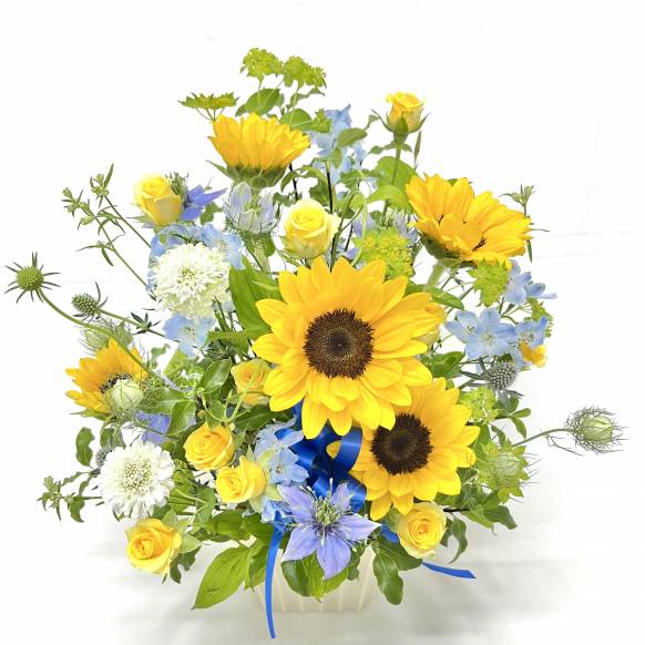 【ボリュームたっぷり】かすみ草の花束(白)
