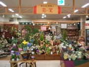 サンフラワー花栄　勝山サンプラザ店