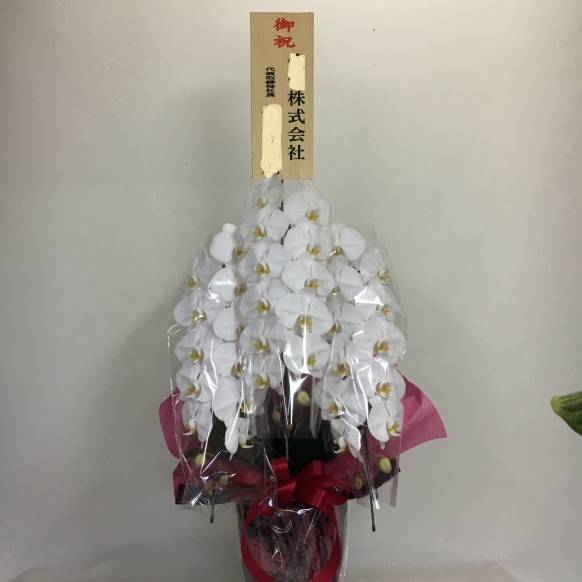 季節のお花のミニブーケ