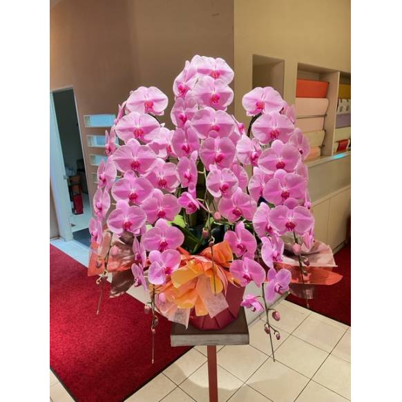 お取り寄せ オリジナルフラワー 胡蝶蘭｜花キューピット・ フラワー