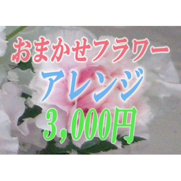 一般カテゴリー,おまかせフラワー,花仲