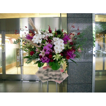 一般カテゴリー,胡蝶蘭を使ったスタンド花（1段）,瑞穂千樹園