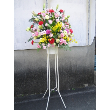 観葉植物　【ユッカ】