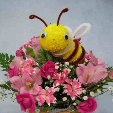 ぴんぽんＢｅｅ一般カテゴリー