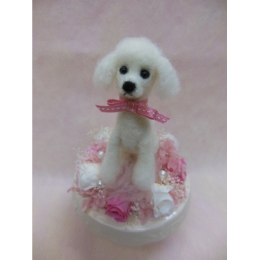 マイペット プリザーブド ラブリーピンク インターネット花キューピット お取り寄せフラワーギフト マイペット プリザーブド ラブリーピンク インターネット花キューピット お取り寄せフラワーギフト