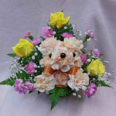 BIGフェイスベア一般カテゴリー