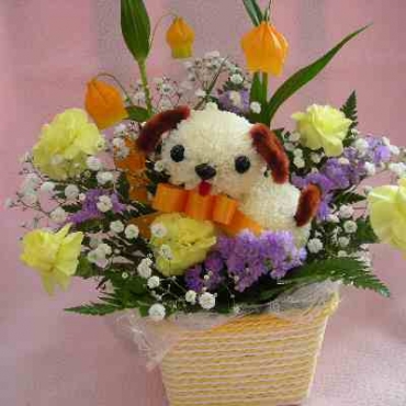 ぴんぽんわんこ一般カテゴリー