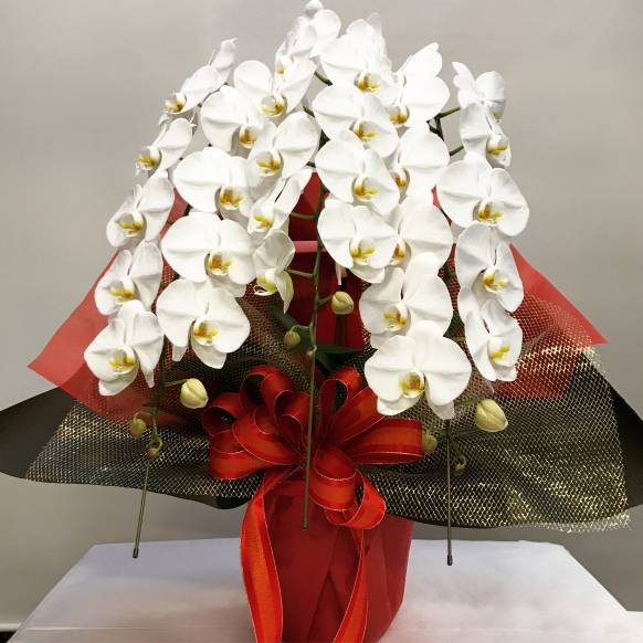プロポーズに…108本の赤い薔薇の花束