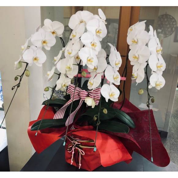 法事用花器付き生花　1対（2基）