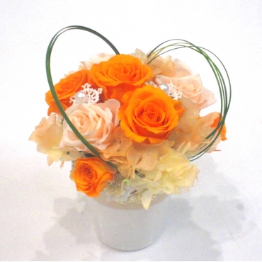すべての美しい花の画像 エレガント花 オレンジレンジ