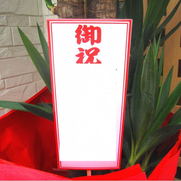 お祝い観葉植物《ユッカ(尺鉢)》/バスケット付｜花キューピット