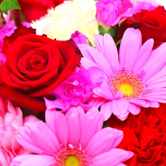 スプリングギフトフラワー特集（宅配）,《Flower arrangement》Colon Red,花樹園