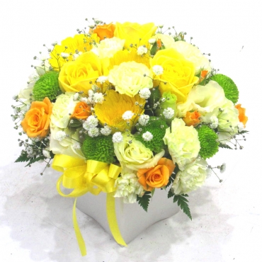 スプリングギフトフラワー特集（宅配）,《Flower arrangement》Colon Yellow,花樹園