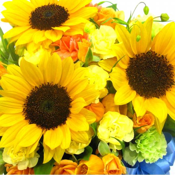 父の日特集(宅配),《Flower arrangement》Sunflower Blue Ribbon,花樹園