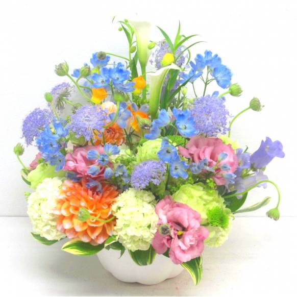 一般カテゴリー,《Flower arrangement》Pastercolors,花樹園