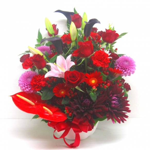 一般カテゴリー,《Flower arrangement》Red Impact,花樹園