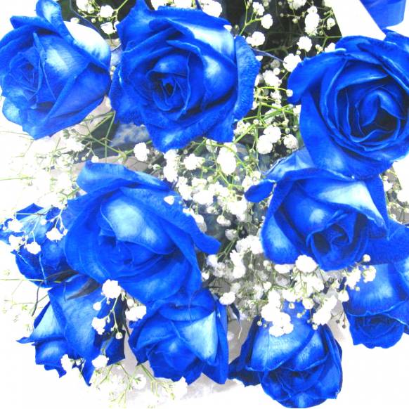 一般カテゴリー,《Bouquet》Blue Rose 10,花樹園