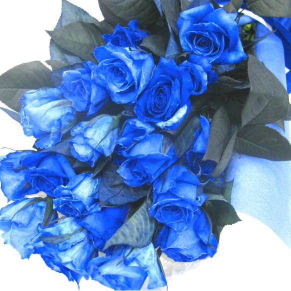 Bouquet》Blue Rose 20|花キューピット・ お取り寄せフラワーギフト Bouquet》Blue Rose 20|花キューピット・ お取り寄せフラワーギフト