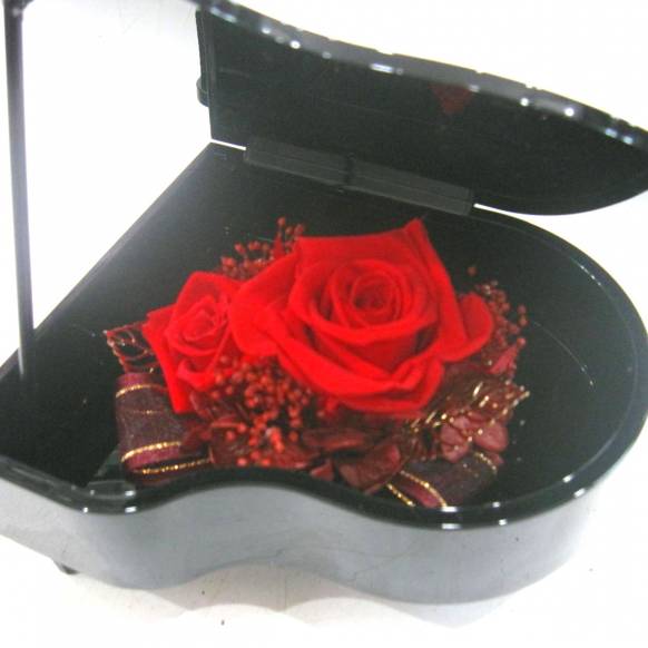 （お祝い）プリザーブドフラワー特集(宅配),《Preserved Flower》Grand Piano (Red ) ,花樹園