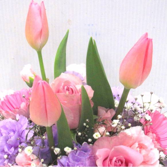 一般カテゴリー,《Flower arrangement》Spring Gradient,花樹園
