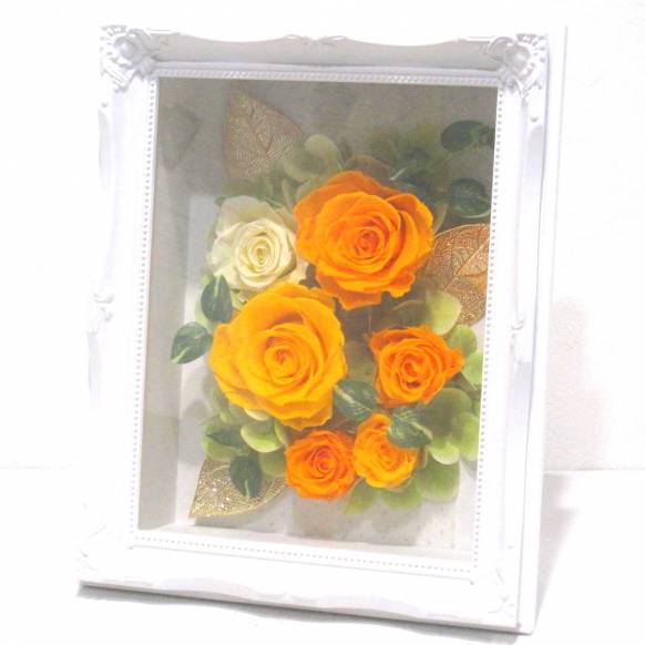 《Preserved Flower》Renaissance Frame L((Y & O) 一般カテゴリー