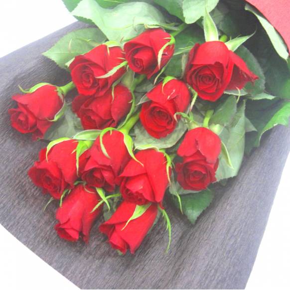 一般カテゴリー,《Bouquet》Red Rose 12 ,花樹園