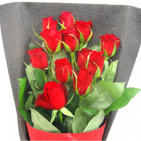 一般カテゴリー,《Bouquet》Red Rose 12 ,花樹園