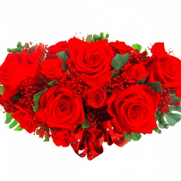 一般カテゴリー,《Preserved Flower》Red Elegance,花樹園